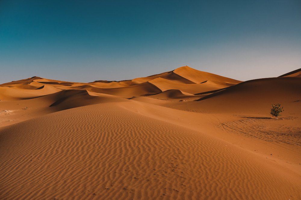 Discover Interesting Things About Morocco: Culture & History